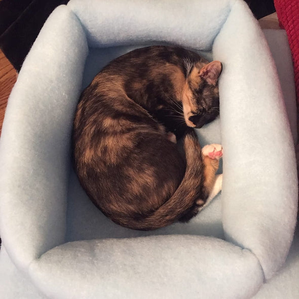 Mysterious Kitty Kuddler® Cat Bed