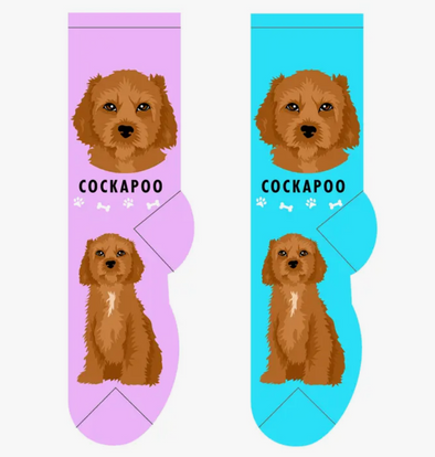 Women's Foozys Socks Cockapoo