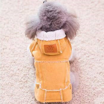 Thick Hooede Jacket for Dogs