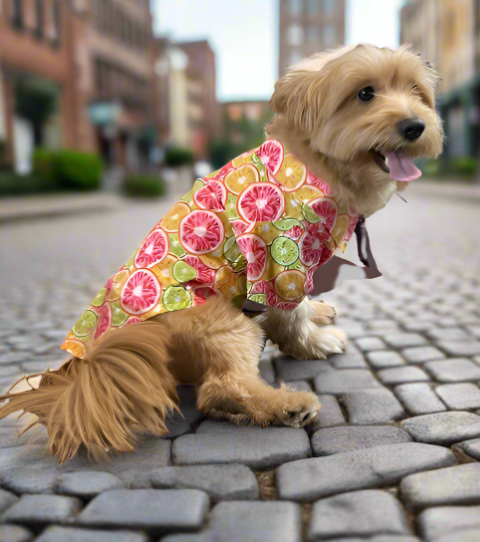 Citrus Slice Hawaiian Camp Shirt