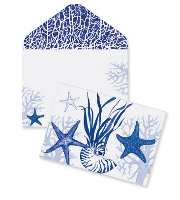 Blank Blue Indigo Shells Note Cards with Envelopes (10 Cards)