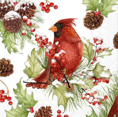 Cardinals in Holly Cocktail Paper Napkins (20 Per Pack)