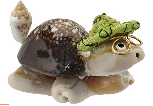 Small Seashell Turtle