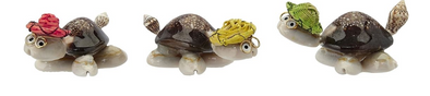 Small Seashell Turtle