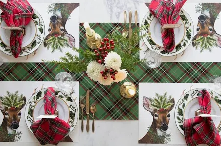 Deer to Me Placemats (Set of 24 Sheets)