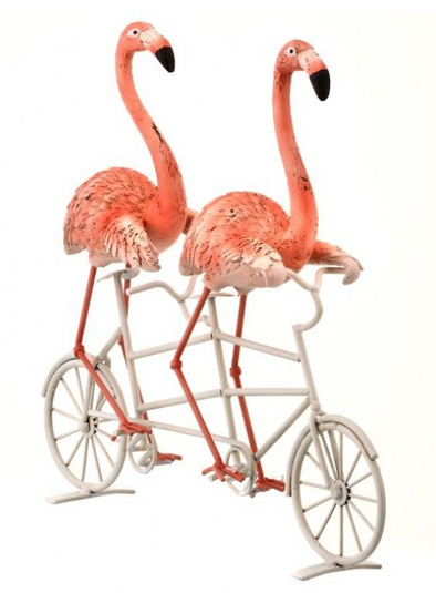Flamingos on a Tandem Bike