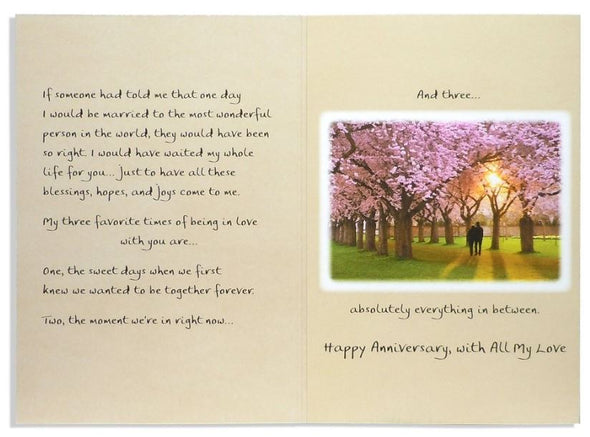 "For Our Anniversary" Greeting Card