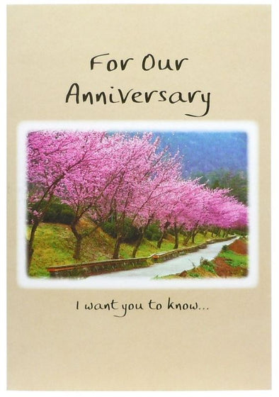 "For Our Anniversary" Greeting Card