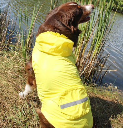 Packable Raincoat for Dogs