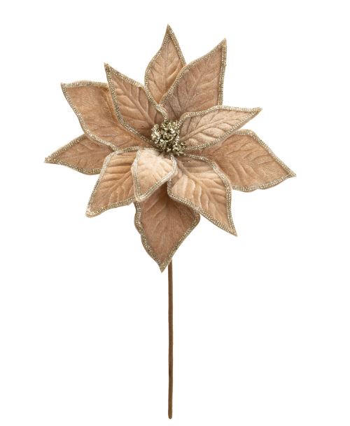 Glitter Iced Champagne Gold Poinsettia Stem