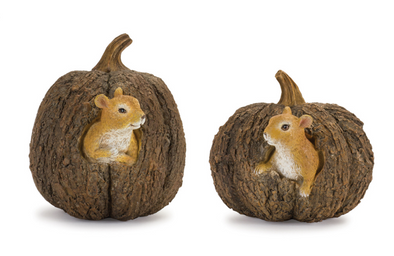 Pumpkin with Squirrel (Set of 2)