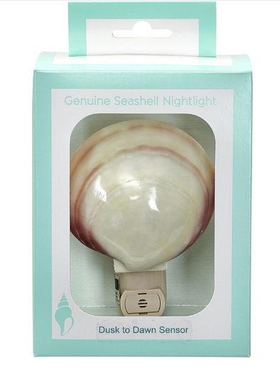 Polished Tiger Clam Boxed Auto Nightlight