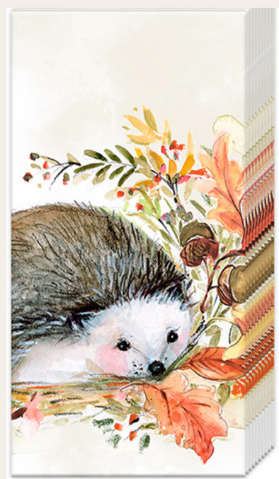 Sweet Hedgehog Fall Pocket Tissues