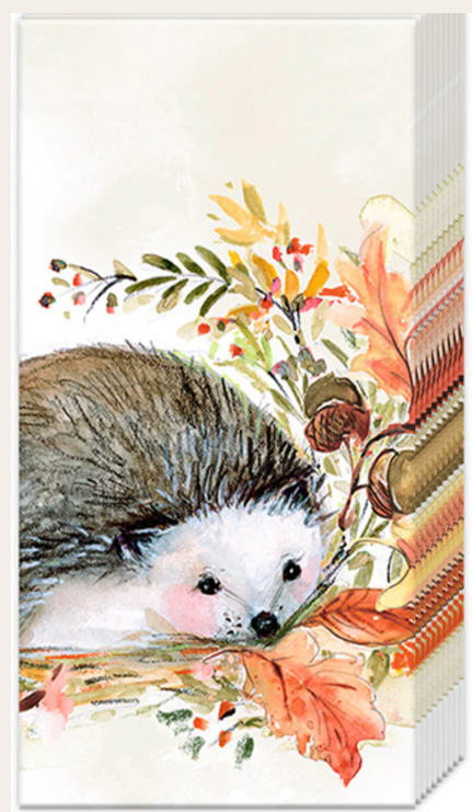 Sweet Hedgehog Fall Pocket Tissues