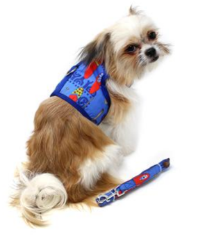 Ukulele & Surfboard Dog Harness & Leash