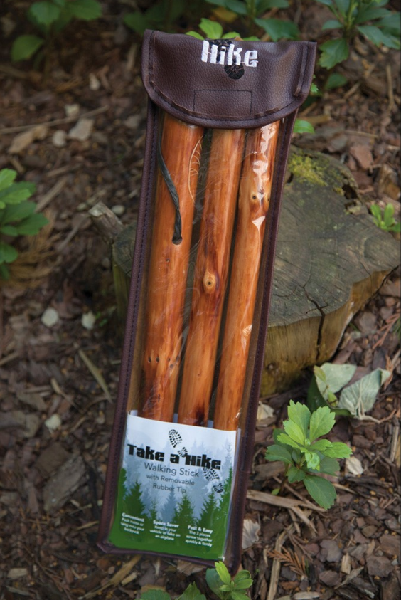 Take a Hike Compass Walking Stick