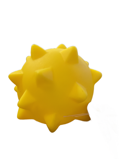 Spiky Ball Squeaky Dog Toy
