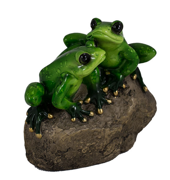 2 Frogs on a Stone