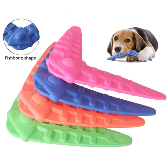Boomerang Chew Toy for Dogs