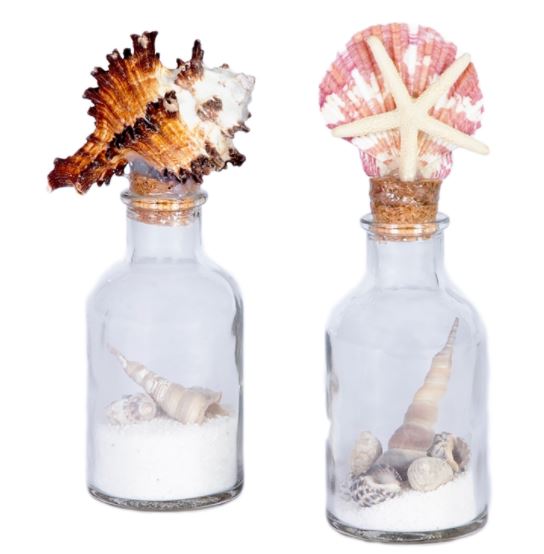 Decorative Bottles with Sand and Shells