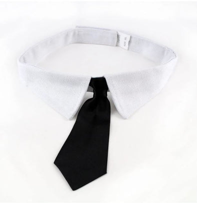 Formal Black Dog Tie