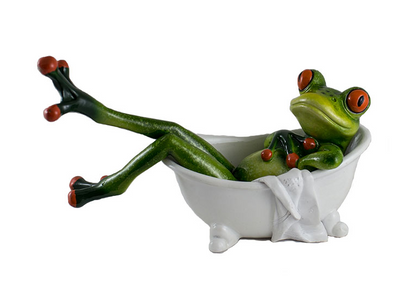 Frog in a Bath Tub