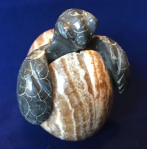 Marble Hatchling Turtle