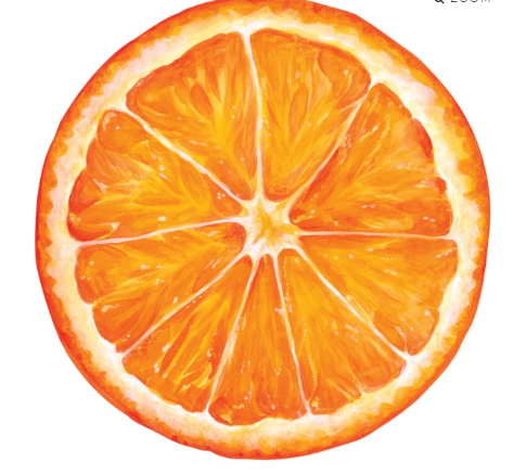 Die Cut Orange Slice Placemat (Set of 12)