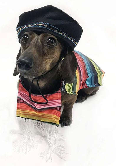 Mexican Serape Dog Costume