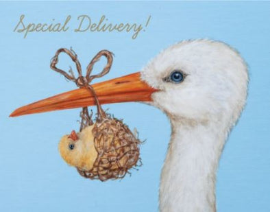 "Special Delivery" Card